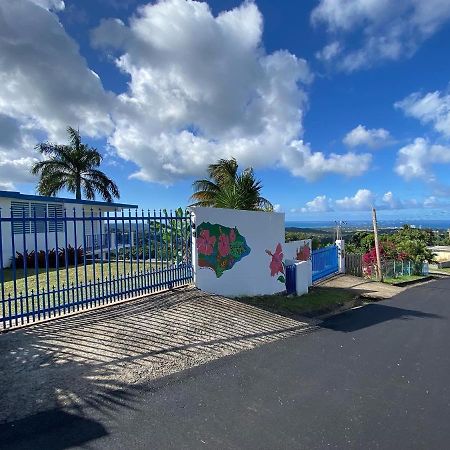 루키요 Million Dollar View In Puerto Rico 빌라 외부 사진