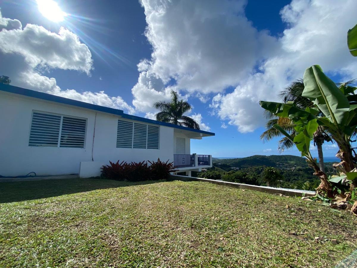 루키요 Million Dollar View In Puerto Rico 빌라 외부 사진