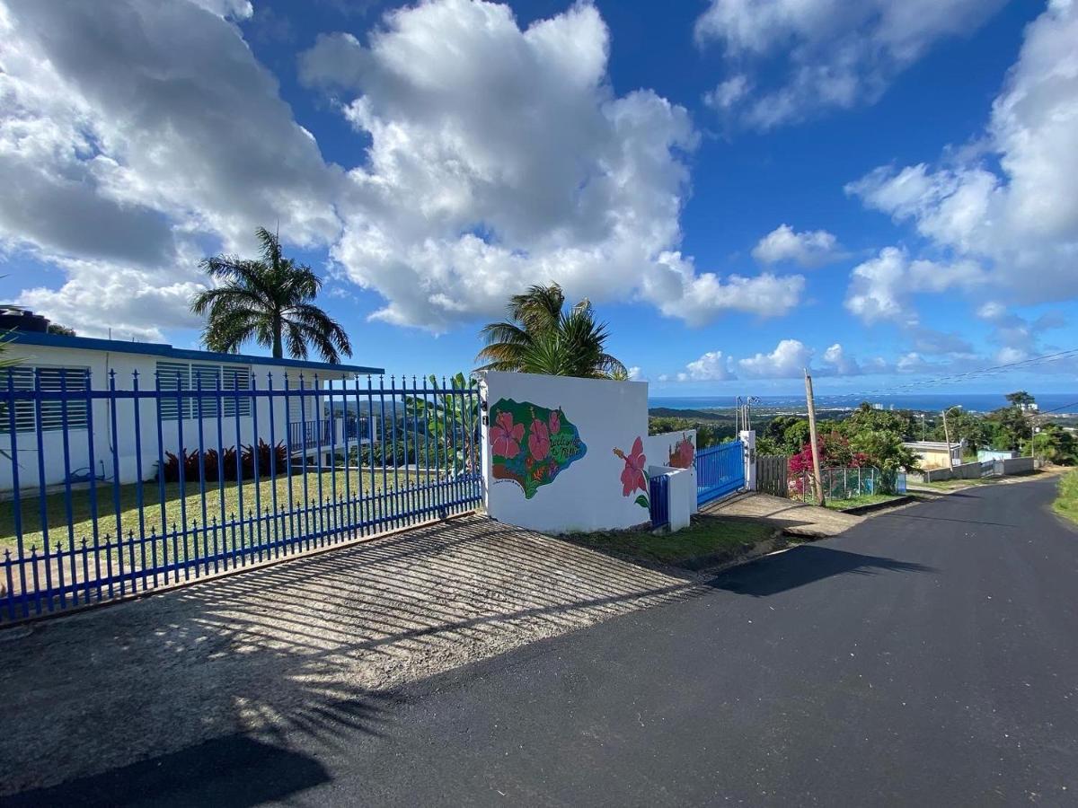 루키요 Million Dollar View In Puerto Rico 빌라 외부 사진