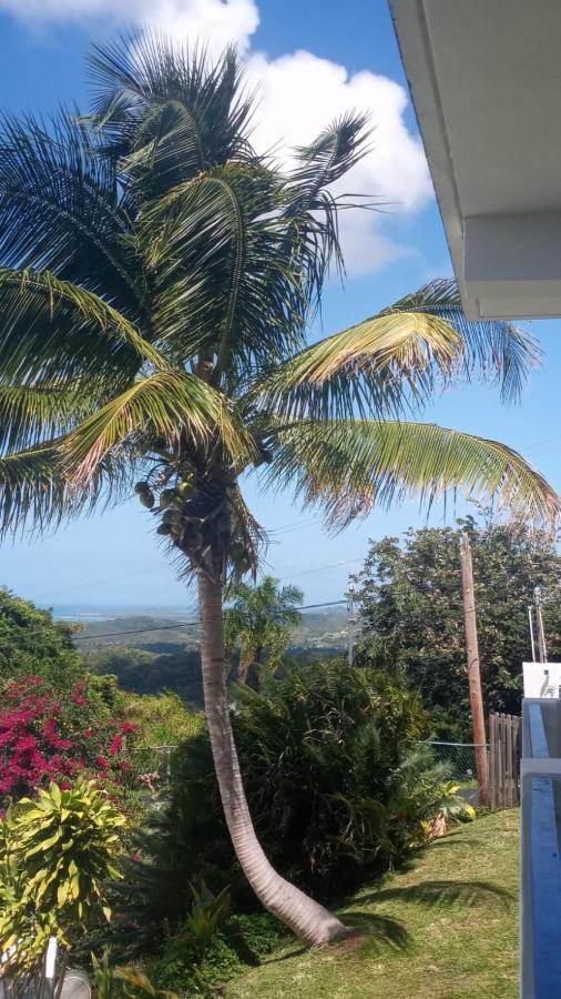루키요 Million Dollar View In Puerto Rico 빌라 외부 사진