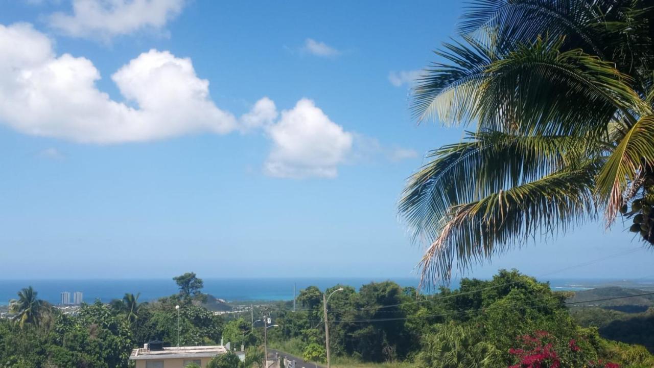 루키요 Million Dollar View In Puerto Rico 빌라 외부 사진