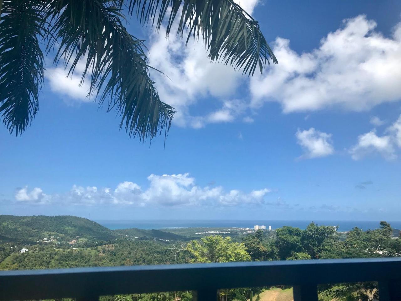 루키요 Million Dollar View In Puerto Rico 빌라 외부 사진