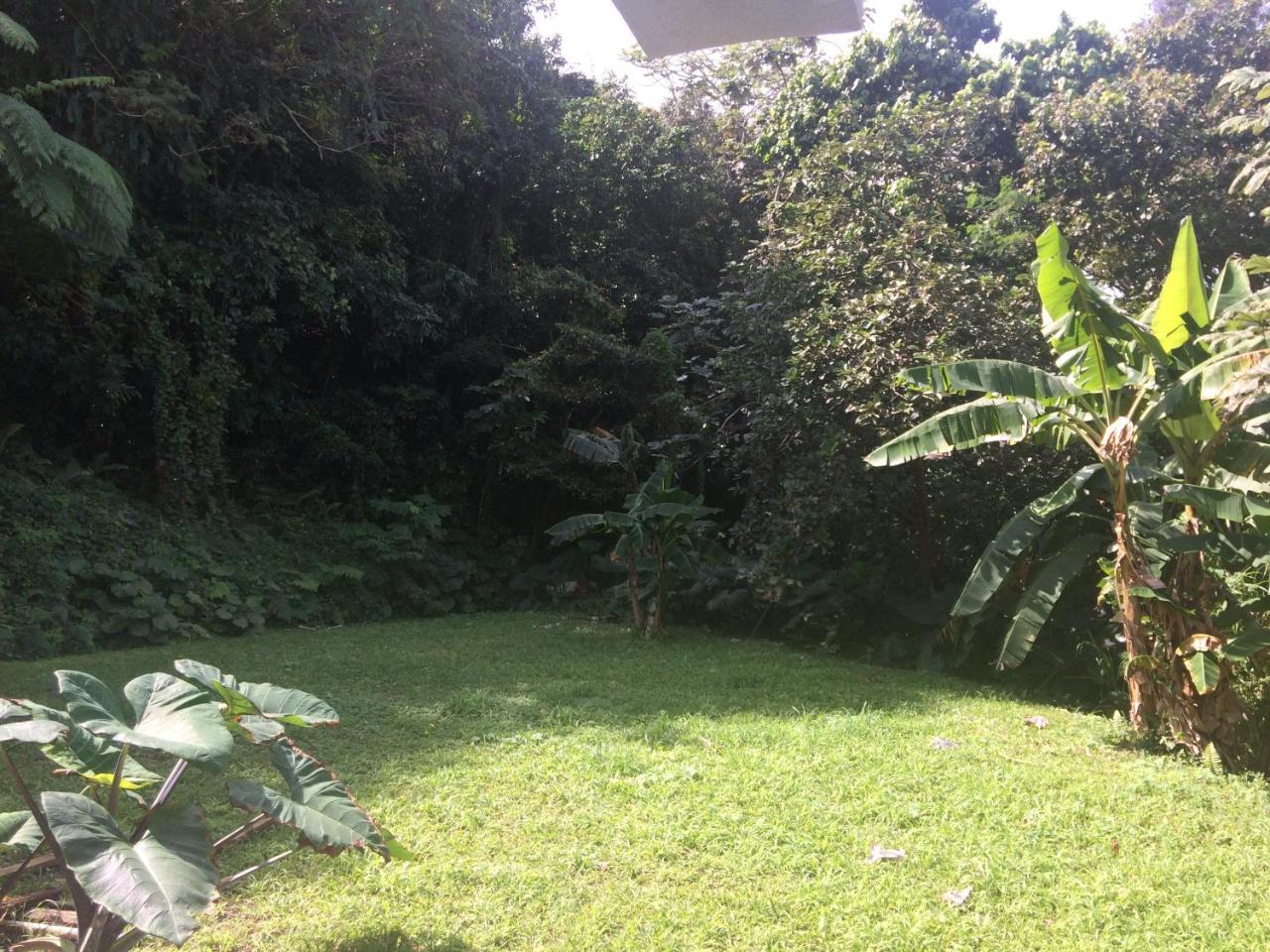 루키요 Million Dollar View In Puerto Rico 빌라 외부 사진