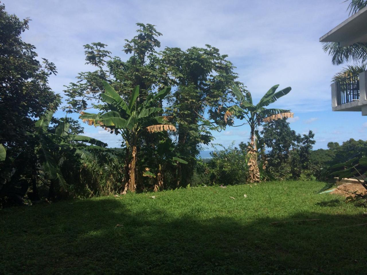 루키요 Million Dollar View In Puerto Rico 빌라 외부 사진